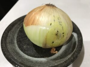 玉ねぎ　茶色　一部分