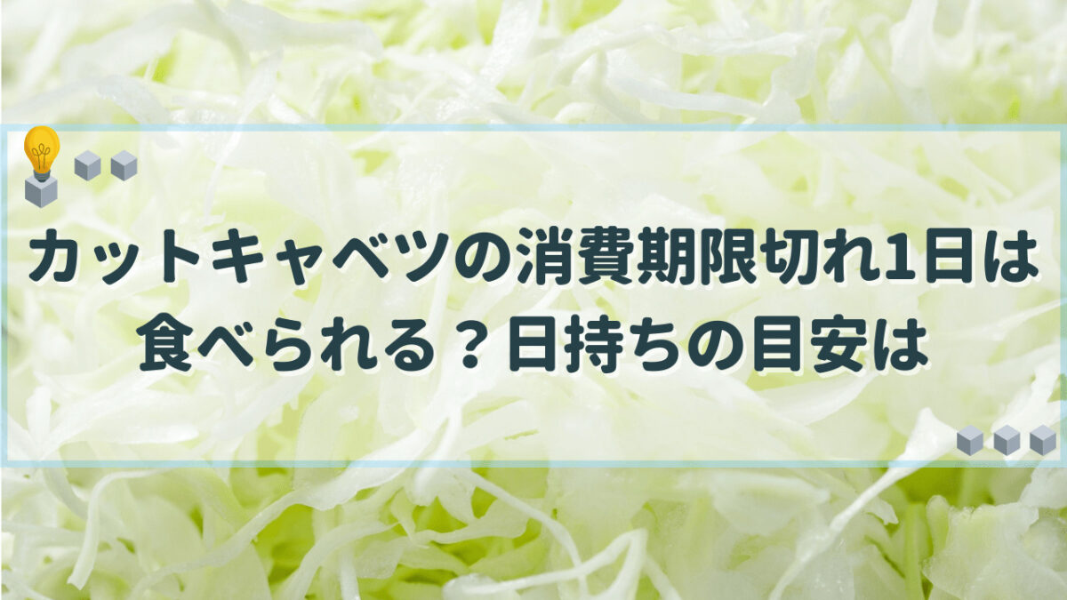 カットキャベツ　消費期限切れ