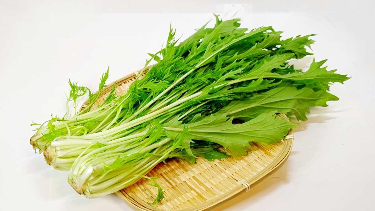 水菜 緑黄色野菜