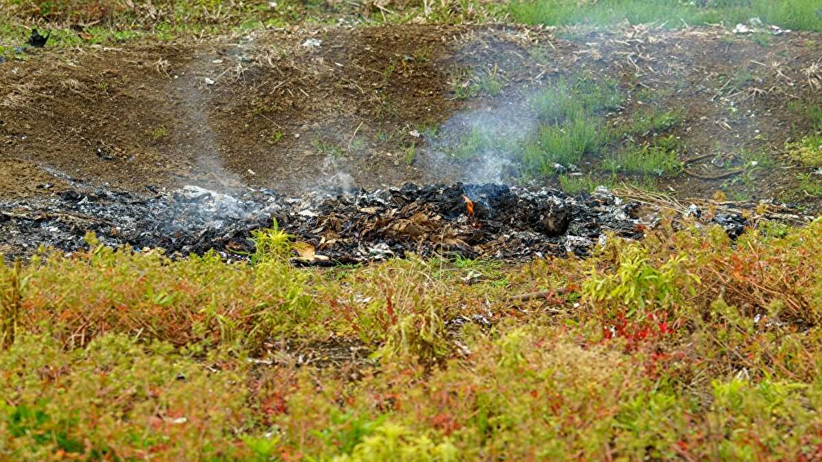 野焼き　通報　逆恨み