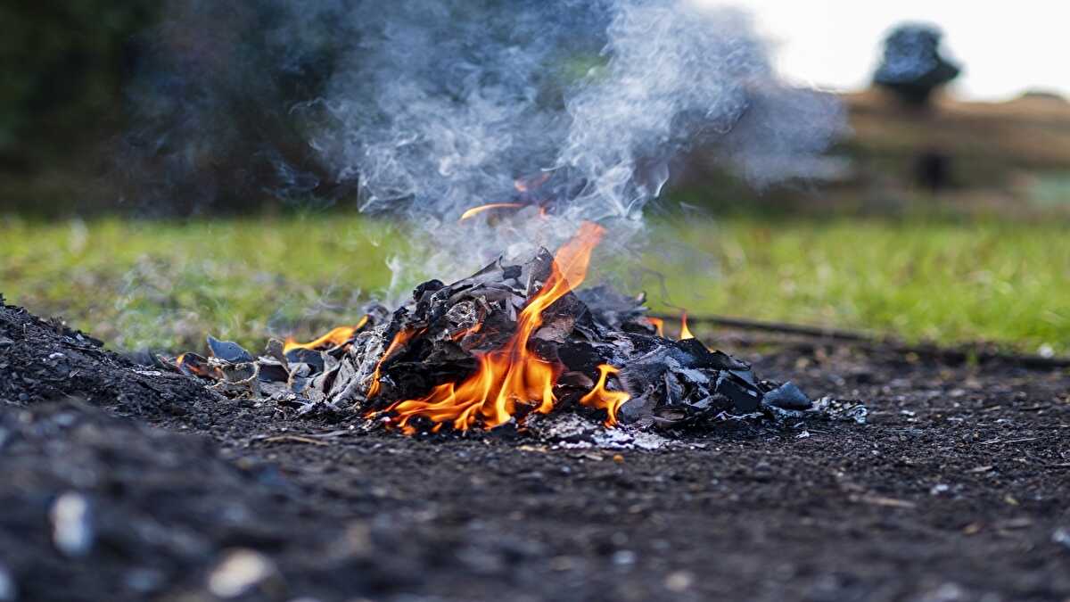 野焼き 通報 罰金