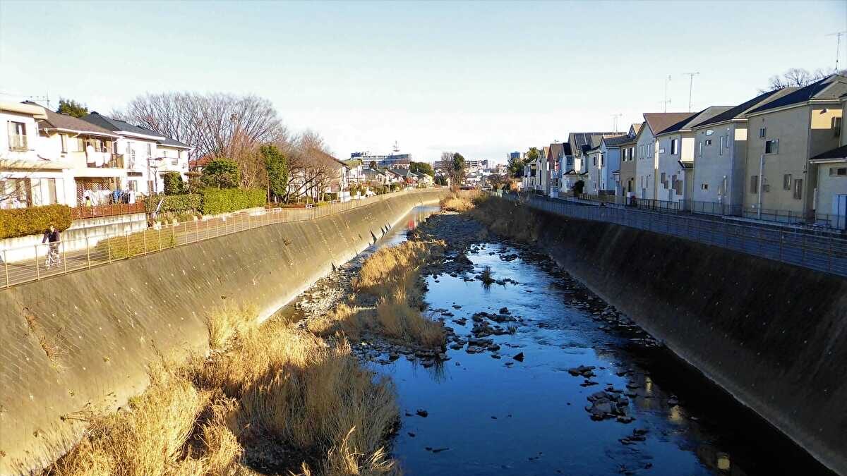 川の近くに住む デメリット