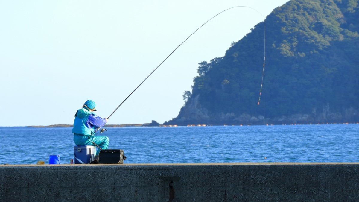 風速5m どのくらい