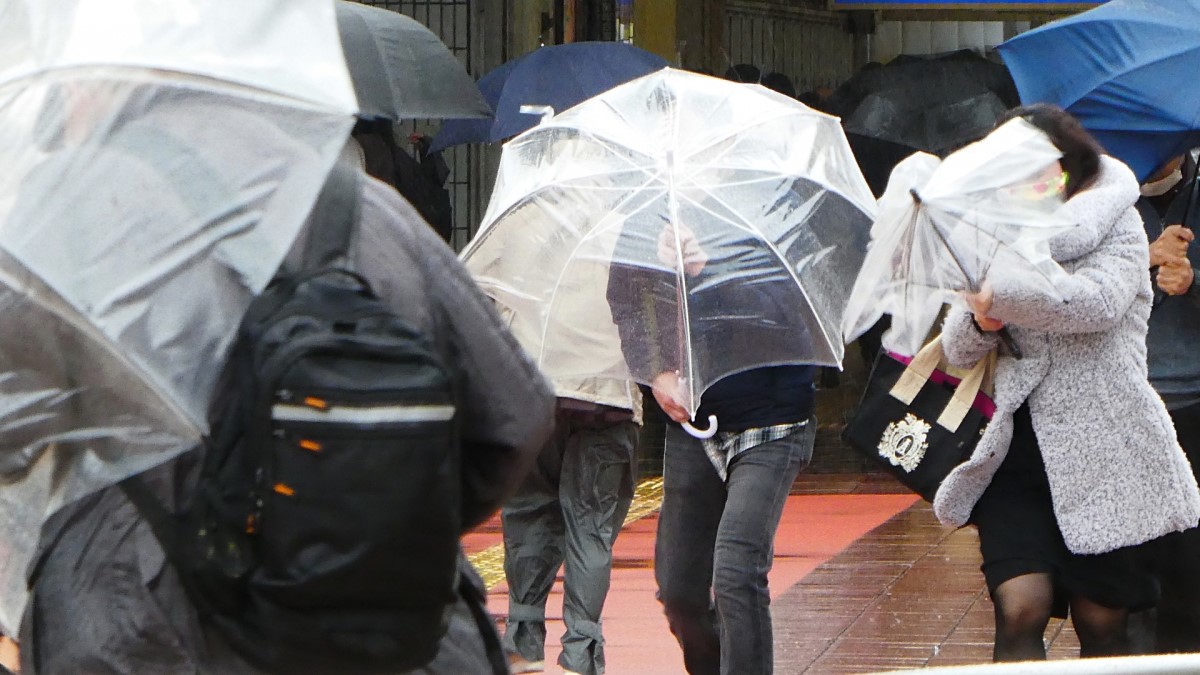 風速7m どのくらい