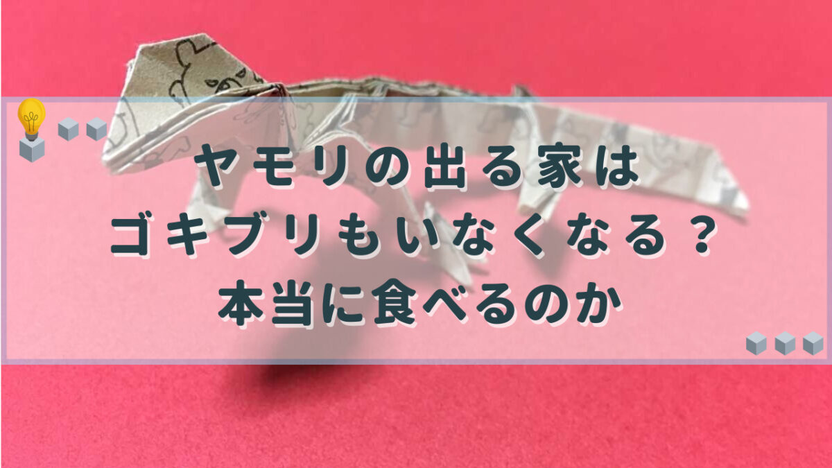 ヤモリの出る家　ゴキブリ