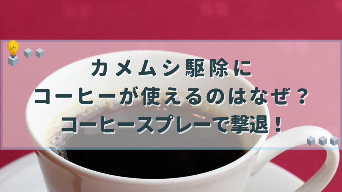 カメムシ駆除　コーヒー